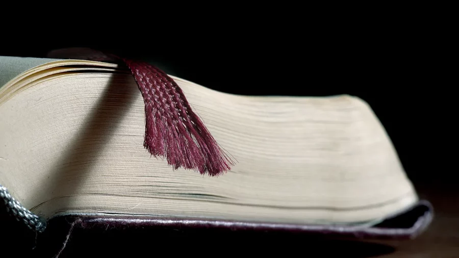 Close view of a thick hardcover novel lying open on its side with a woven ribbon bookmark hanging from the middle pages, a DNF book paused mid-read