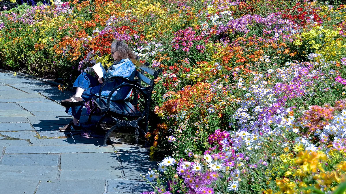 Reading on a Garden Bench Among Flower Beds Person reading a book on a park bench beside bright flower beds, an outdoor stop for reading challenge ideas like a book read entirely outside